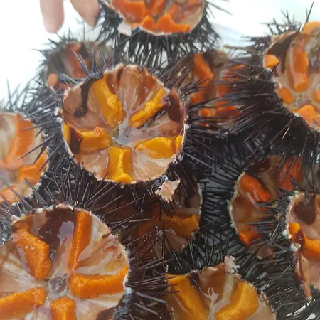 Centralissima Casa Delfino Дом отдыха