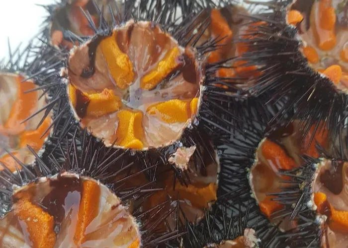 Centralissima Casa Delfino Casa vacanze